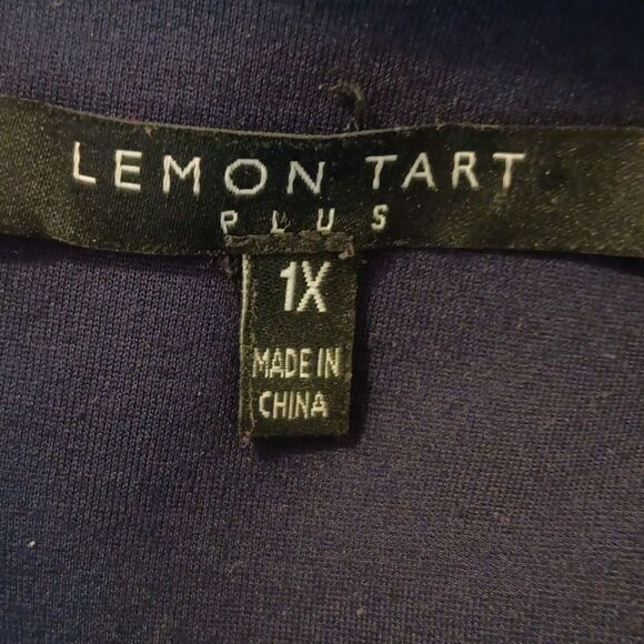 Lemon Tart Plus Navy Blue Ponte Dress. Dark Academia, Classic, Professional - Picture 8 of 9